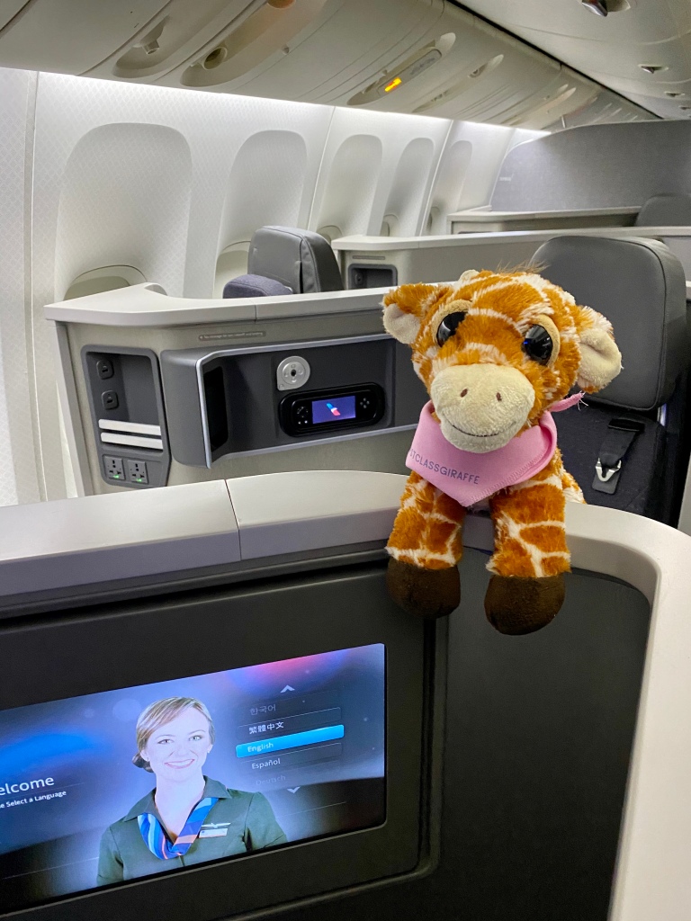 First Class Giraffe checking out the cabin configuration